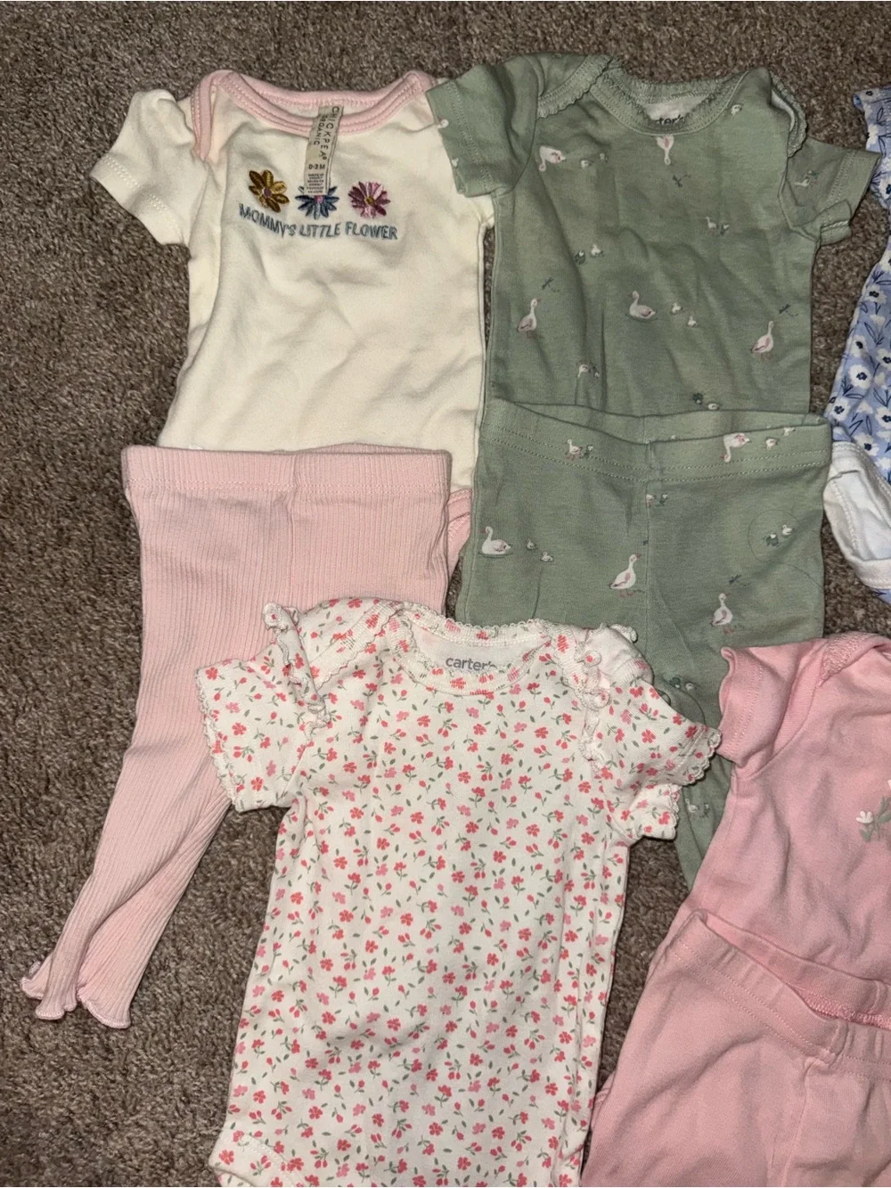 Baby Girl Bundle of Onesies
